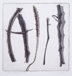 "Skri", färgetsning, akvatint- och linjeetsning, 1986, 14 x 14 cm ca, upplaga: 40 ex