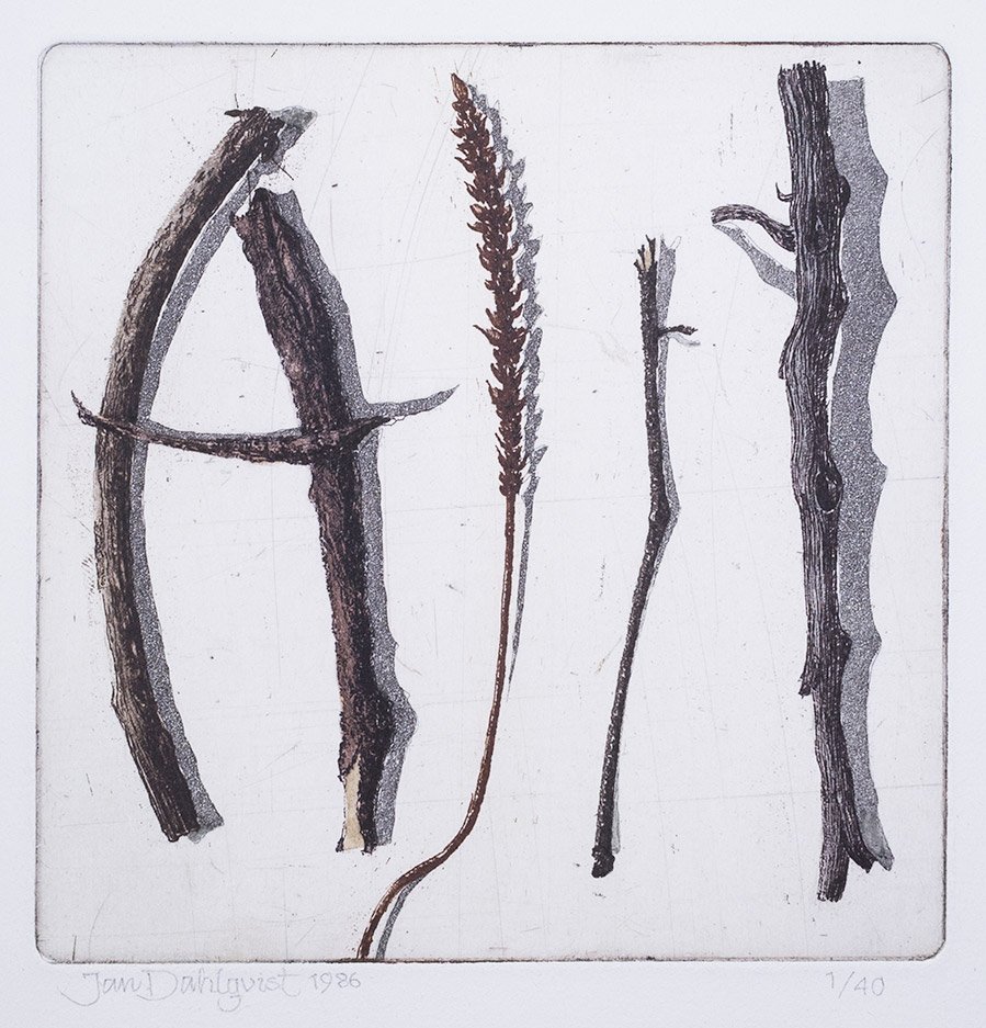 "Skri", färgetsning, akvatint- och linjeetsning, 1986, 14 x 14 cm ca, upplaga: 40 ex