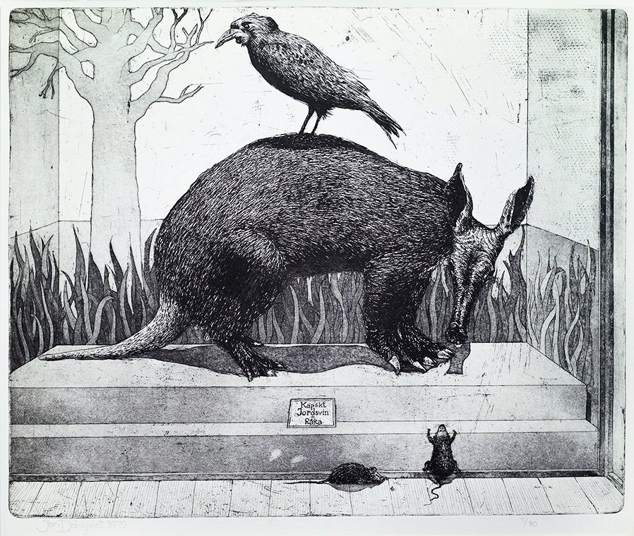 "Jordsvin", linje- och akvatintetsning, 1979, 33 x 40 cm, upplaga: 30 ex.