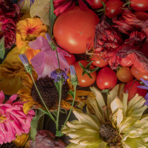 "Sensommarstilleben", fotografi, © Jan Peter Dahlqvist, 2024