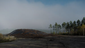 "Torvmosse i dimma", fotografi, © Jan Peter Dahlqvist, 2024