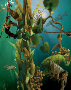 ”Aqualand”, digigrafi, 48 x 38 cm, 2016.