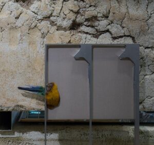 "Detalj, konstverk", fotografi, © Jan Peter Dahlqvist, 2024