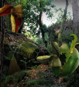 "Fallet", digigrafi, 75 x 68, 2004, 26 ex © Jan Peter Dahlqvist, 2024