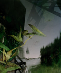 "In i vassen", digigrafi, 66 x 55, 2004, 30 ex. © Jan Peter Dahlqvist, 2024