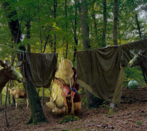 "Skogsläger", digigrafi, 62,2 x 70 cm, 2004, 25 ex. © Jan Peter Dahlqvist, 2024